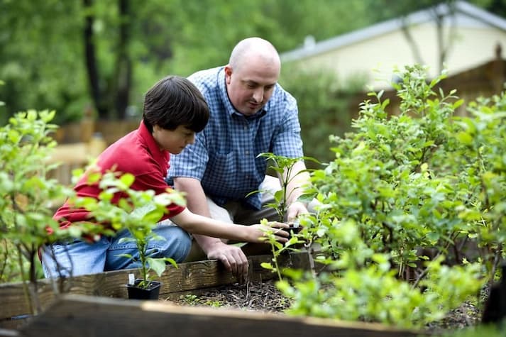 Tips Berkebun Bersama Keluarga